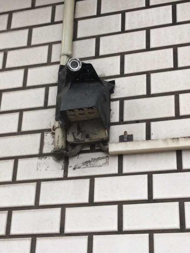 IMG_7803.jpg IMG 7803