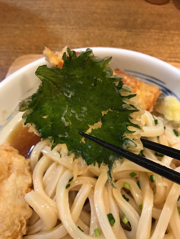 Shinari 29