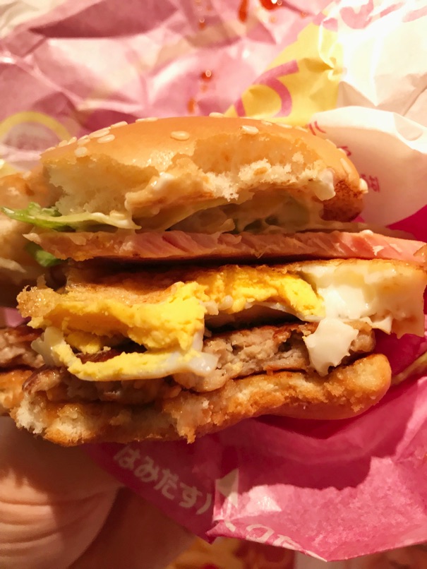 Mcd teriHamu 13