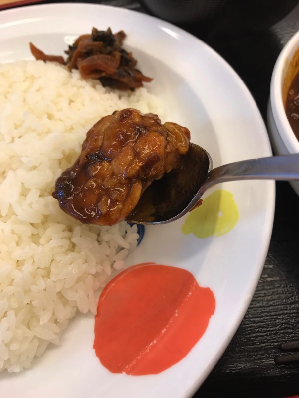 matsuya_chickencurry_9.jpg Matsuya chickencurry 9