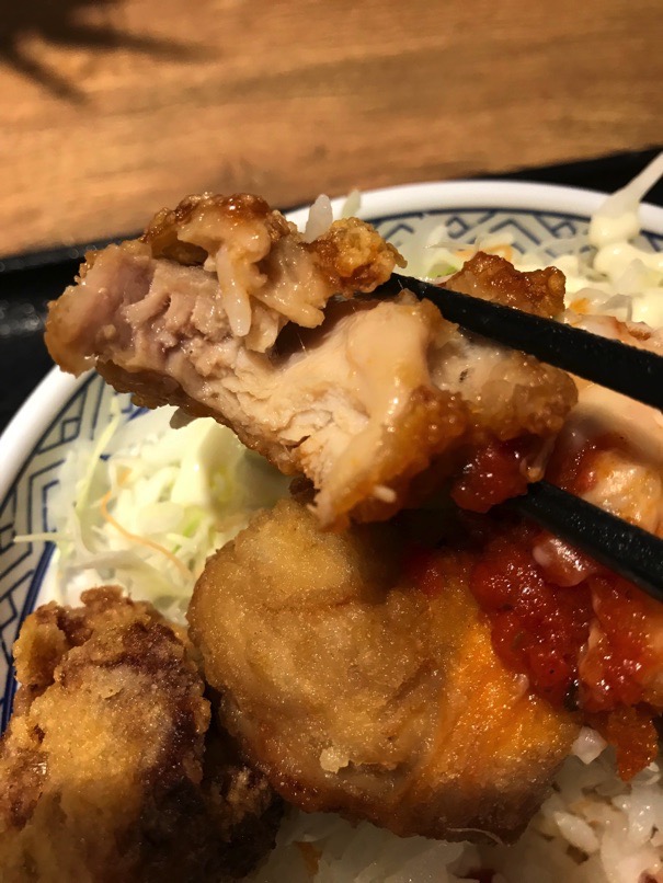 yoshinoya_kanicoro_19.jpg Yoshinoya kanicoro 19
