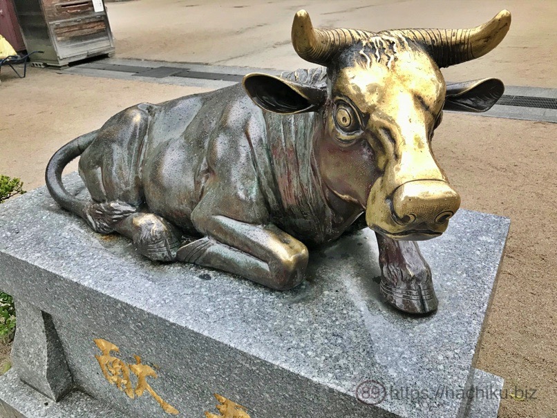 Pandaya 1