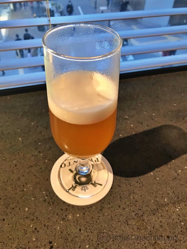 Beerteria pronto 28