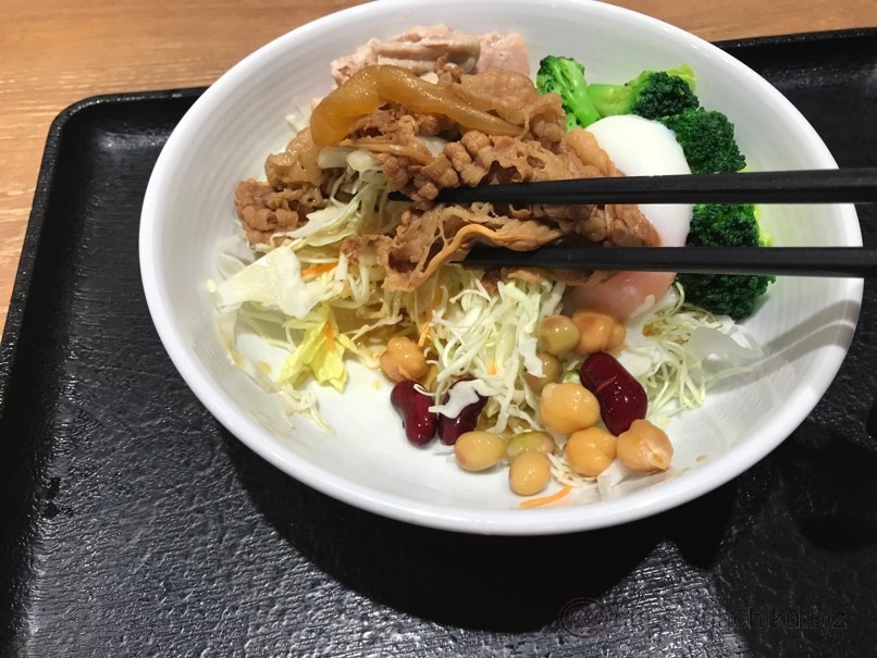 Yoshinoya rizap 10