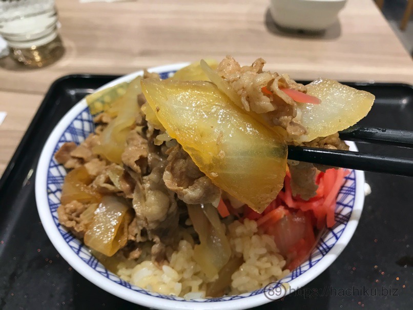 Yoshinoya negidaku 11