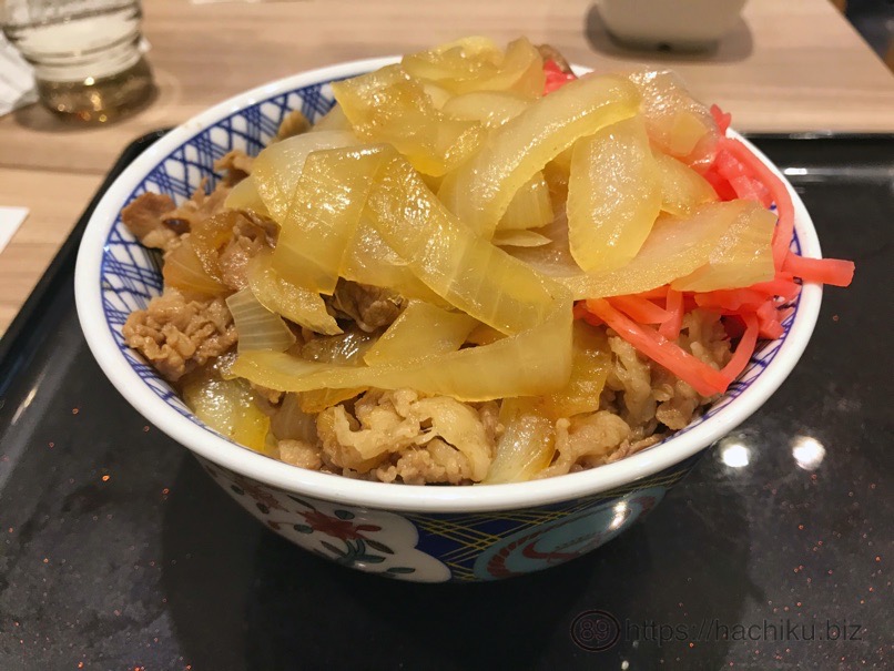 Yoshinoya negidaku 9