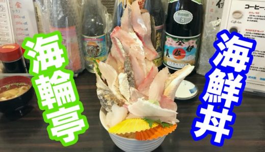 【海輪亭】全高３０ｃｍ越え！３Ｄ海鮮丼の高みに挑んでみた結果を正直にレビューしたい