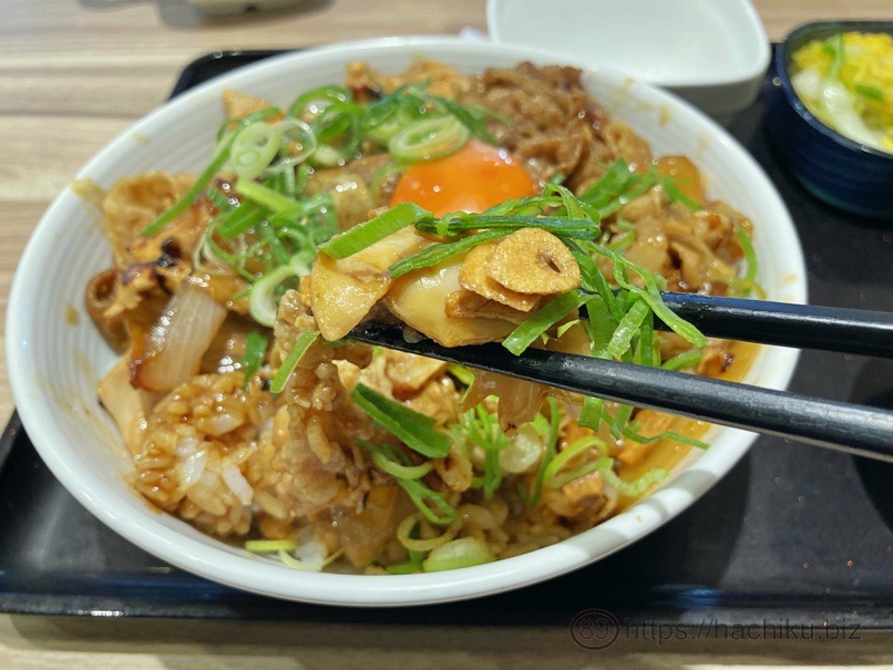 Yoshinoya sutatoku 13