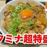 吉野家 スタミナ超特盛丼