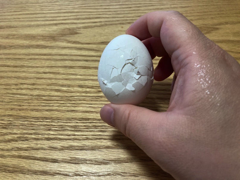 Range boil egg 28